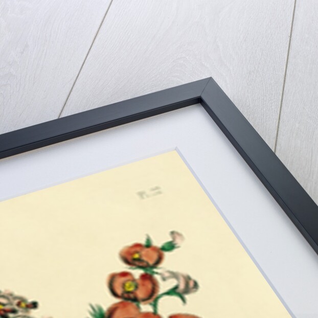 Illustration of Colorful Flowers by Anonymous