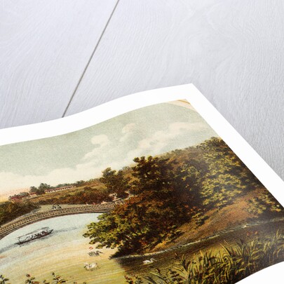 Lake and Bow Bridge in Central Park by Anonymous