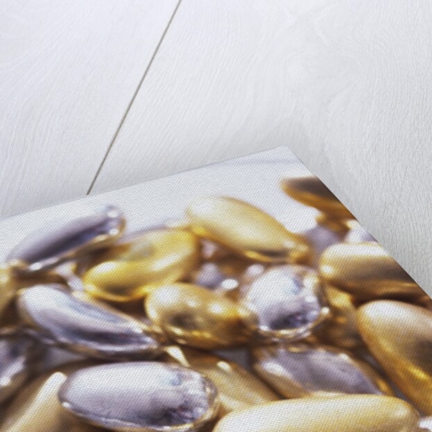 Gold and Silver Sugared Almonds by Anonymous