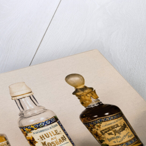 Three Perfume Bottles, Essence of Moskari - Houbigant by Anonymous