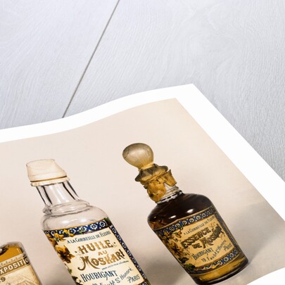 Three Perfume Bottles, Essence of Moskari - Houbigant by Anonymous
