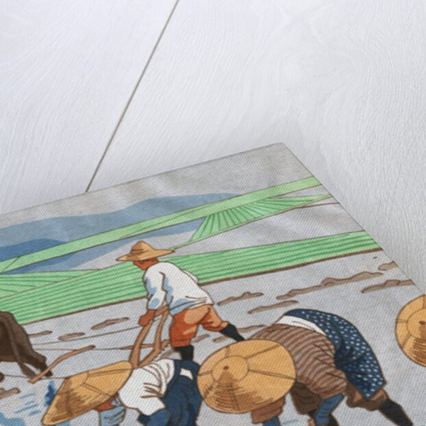 Asians Working in Rice Paddy Field by Anonymous