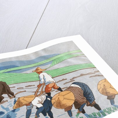 Asians Working in Rice Paddy Field by Anonymous
