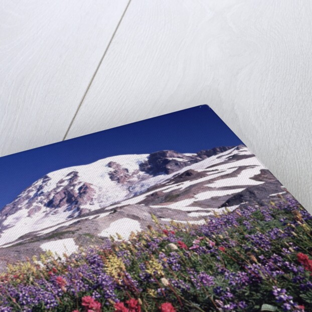 Flowers before Mount Rainier by Anonymous