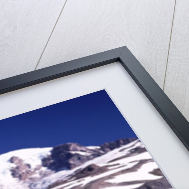 Flowers before Mount Rainier by Anonymous