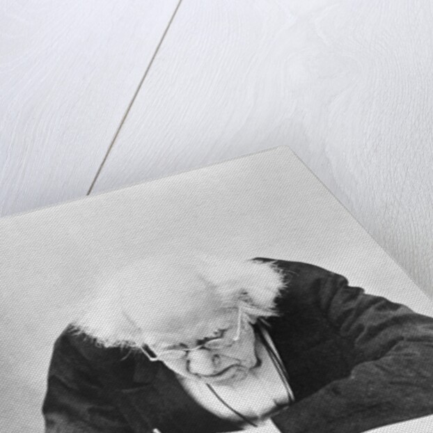 Eugene Chevreul Busy at Work by Anonymous