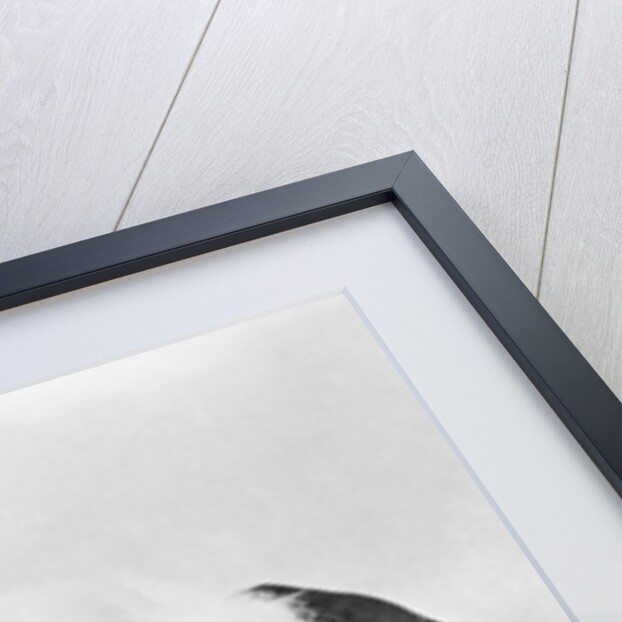 Eugene Chevreul Busy at Work by Anonymous