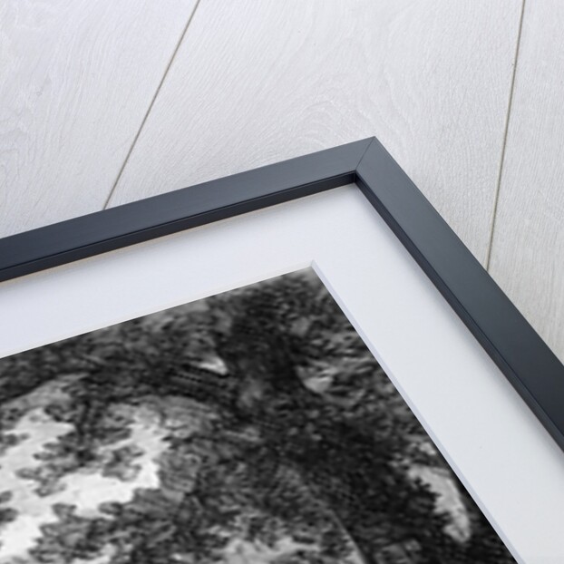 Abraham Lincoln Chopping Down Tree by Anonymous