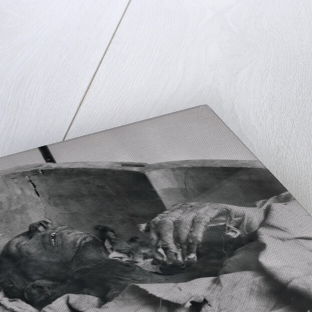 Mummy of Ramses II King of 19th Dynasty of Egypt by Anonymous