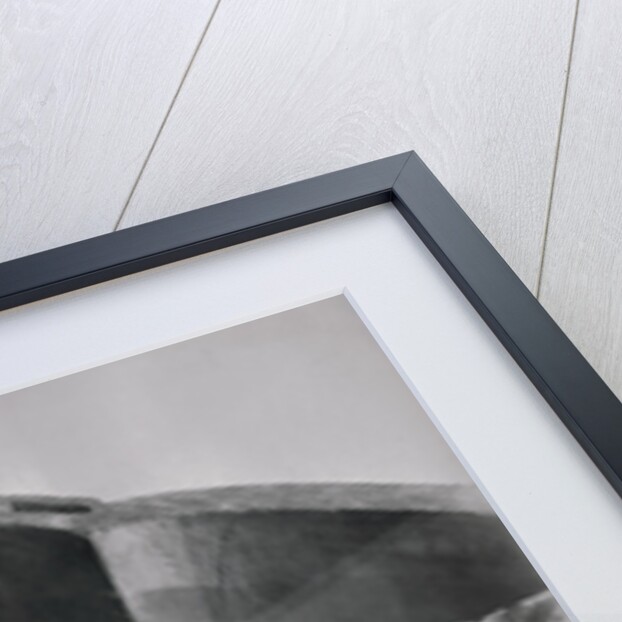 Mummy of Ramses II King of 19th Dynasty of Egypt by Anonymous