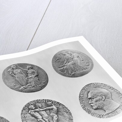 Six Views of Nobel Medals by Anonymous