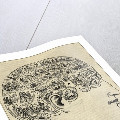 Phrenological Chart Showing Mental Functions by Anonymous