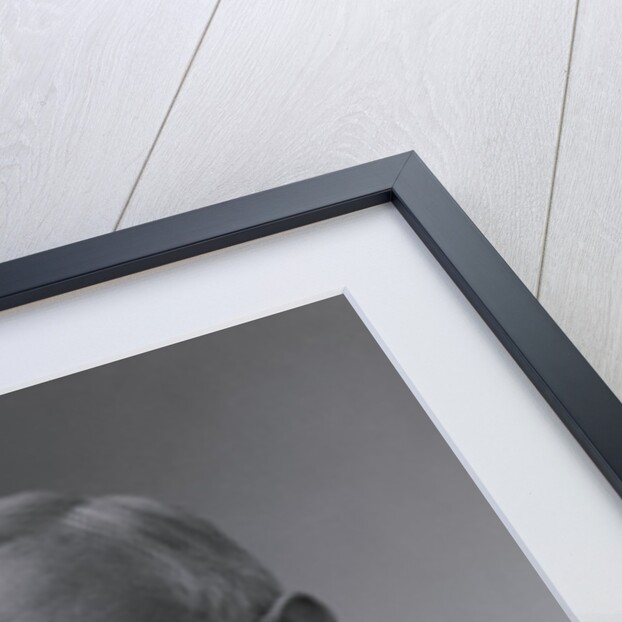 Pensive Portrait of President Benjamin Harrison by Anonymous