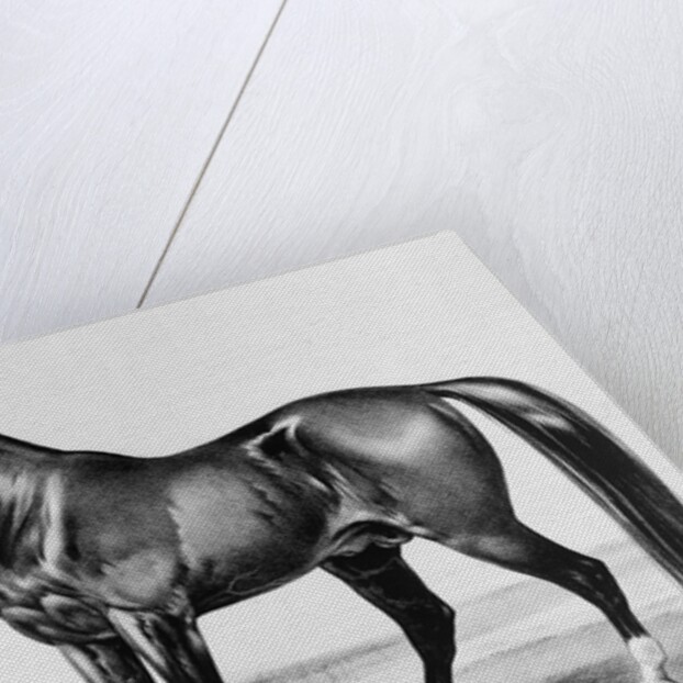 Rysdyk's Hambletonian by Anonymous