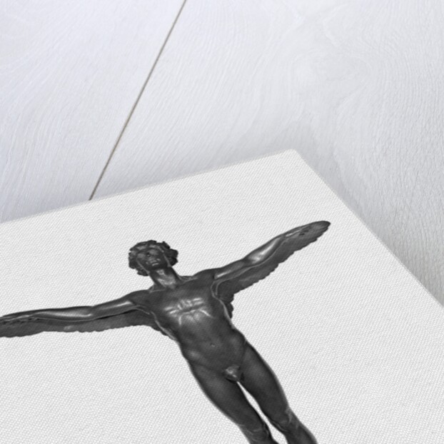 Display of the Icarus by Anonymous