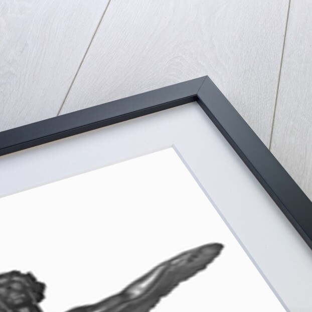 Display of the Icarus by Anonymous