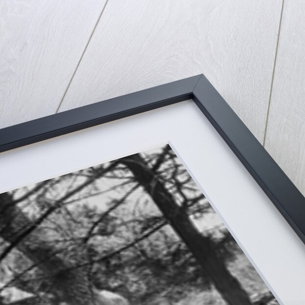 Exterior of the Orchard House Homestead for Louisa May Alcott by Anonymous