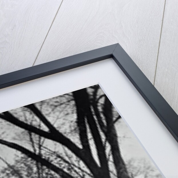 Old House Where Benjamin Franklin Tested Lighting Rod by Anonymous