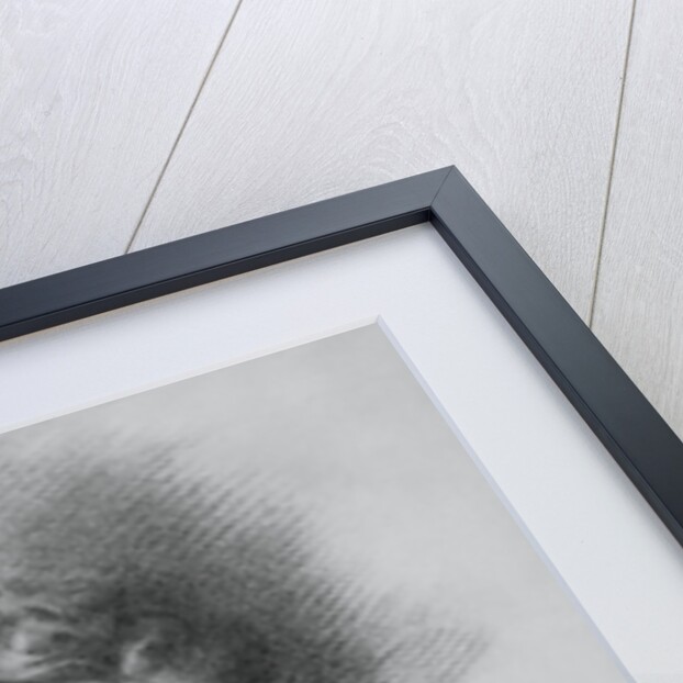 Portrait of American Writer Ambrose Bierce by Anonymous