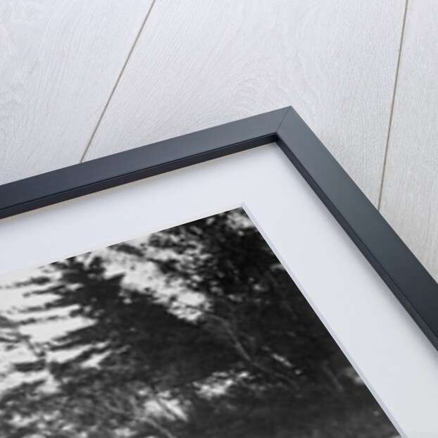 President Chester Arthur on Fishing Trip by Anonymous