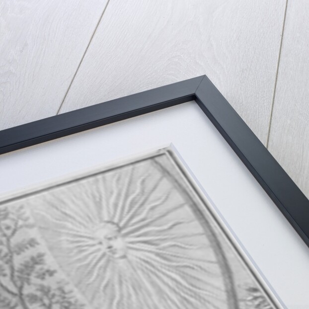 Incas Consecrating Their Offerings to the Sun by Bernard Picart