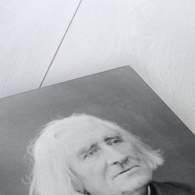 Portrait of Franz Von Liszt by Anonymous