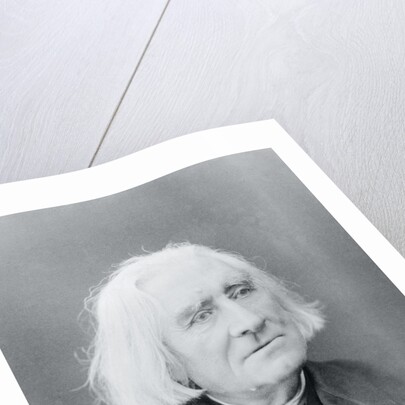 Portrait of Franz Von Liszt by Anonymous