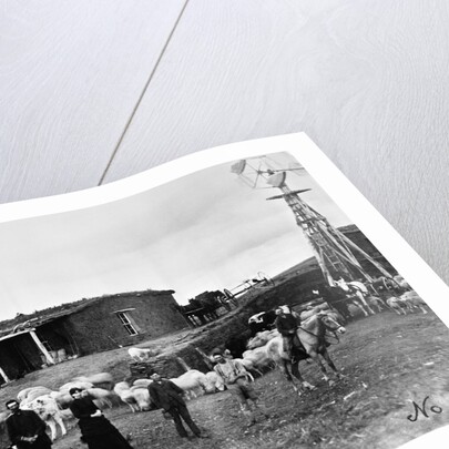 Sheep Farm in American West by Anonymous