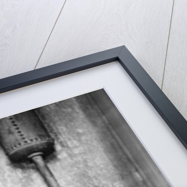 Slum Privy in Cincinnati by Anonymous