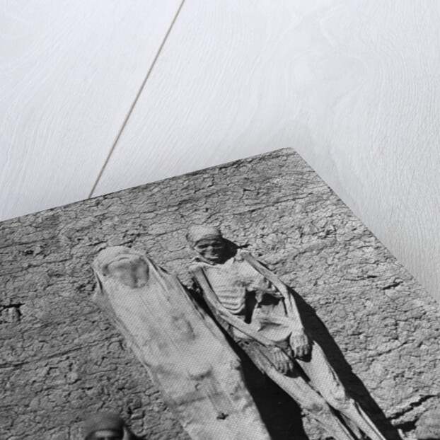 Mummies at Excavation Site by Anonymous