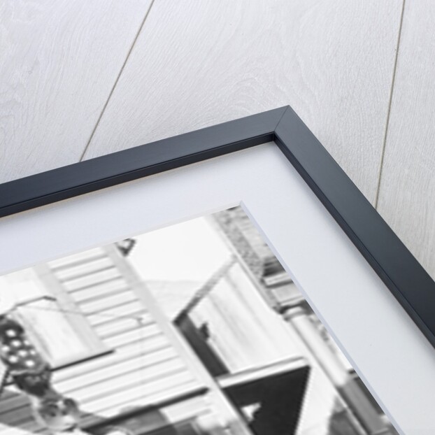 Curio Store by Anonymous