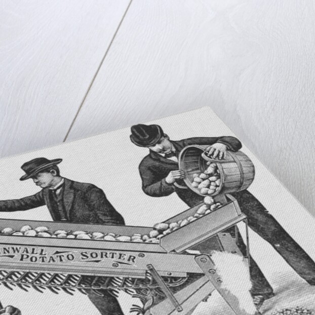 Two Men Using a Potato Sorting Machine by Anonymous