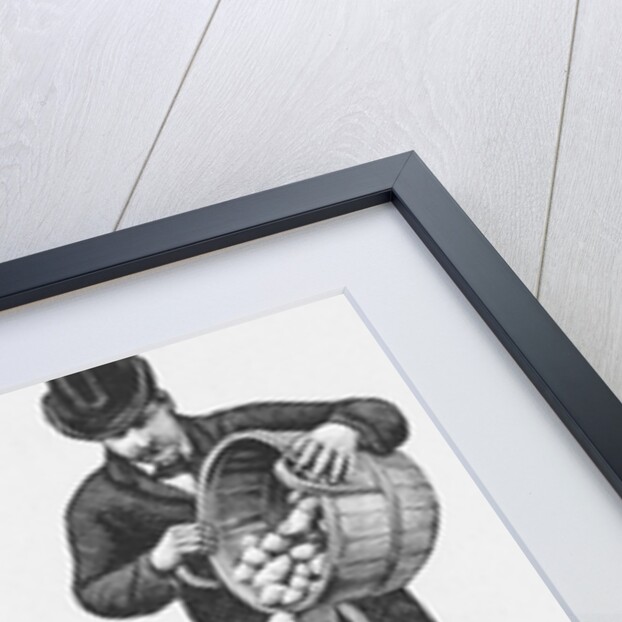 Two Men Using a Potato Sorting Machine by Anonymous