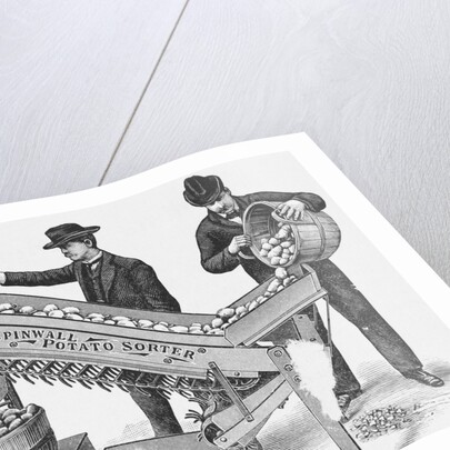 Two Men Using a Potato Sorting Machine by Anonymous