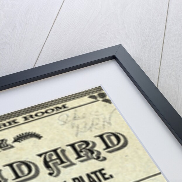 Kodak Film Package Advertisement by Anonymous