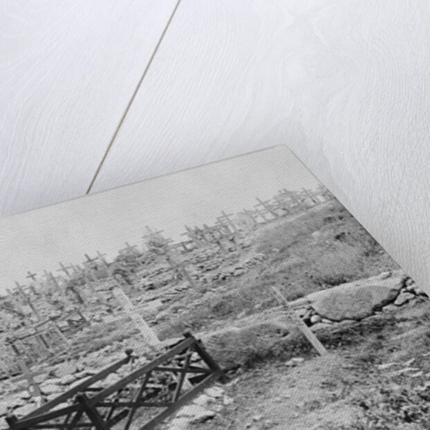 Military Cemetery by Anonymous