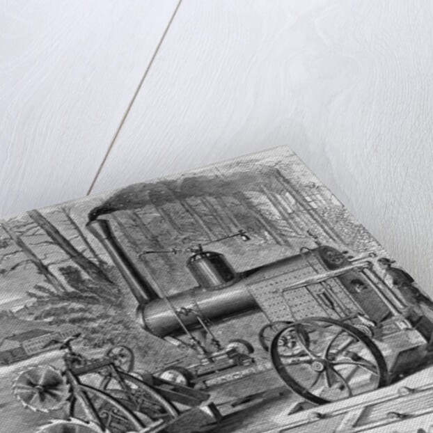 Worker Using Steam Circular Sawmills by Anonymous