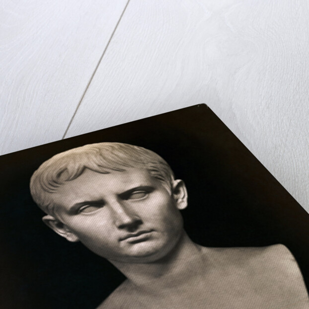 Bust of Augustus Caesar by Anonymous