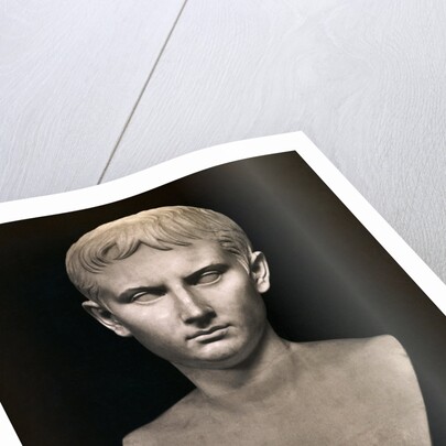 Bust of Augustus Caesar by Anonymous