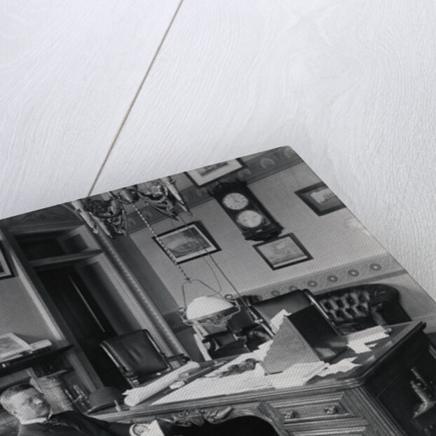 Theodore Roosevelt in Office by Anonymous