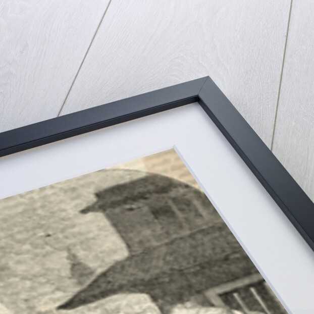 Massacre of Magdeburg During Thirty Years War by Anonymous