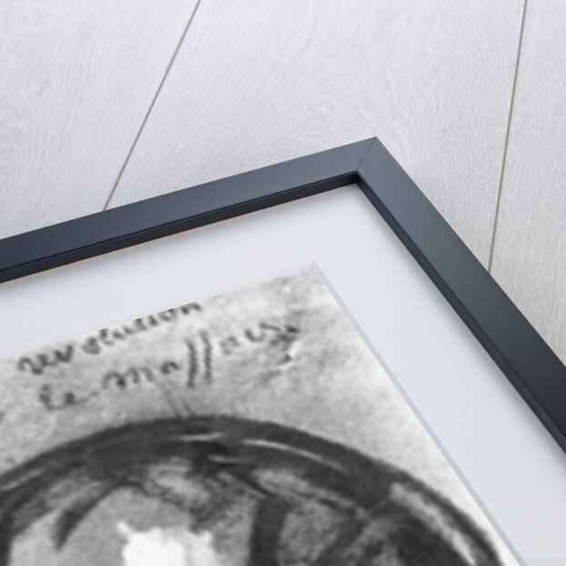 Caricature of Charles Baudelaire by Anonymous