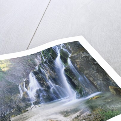 Cascade at the Source of the Rio Cuervo by Anonymous