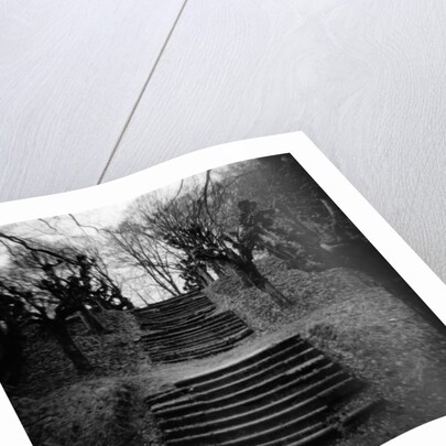 Run-Down Stairway Among Leafless Cherry Trees by Anonymous