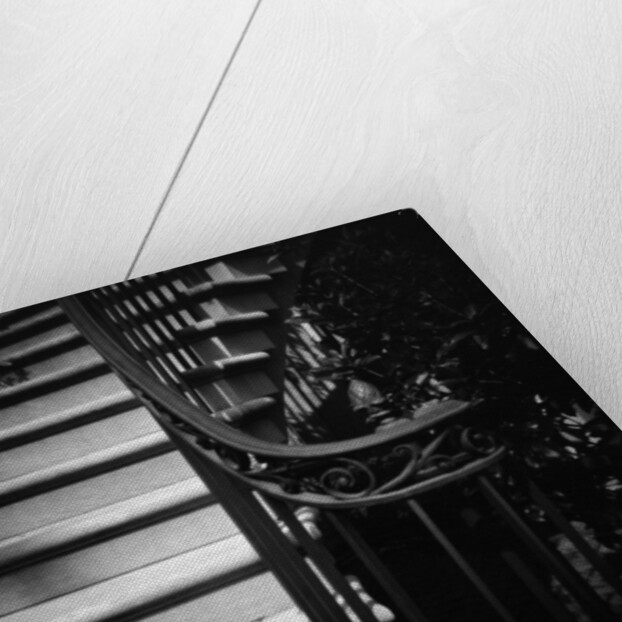 Floral Motif Railing Along a Stairway by Anonymous