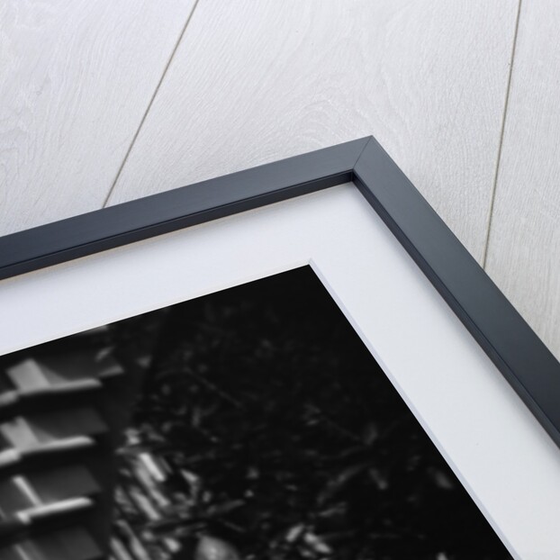 Floral Motif Railing Along a Stairway by Anonymous