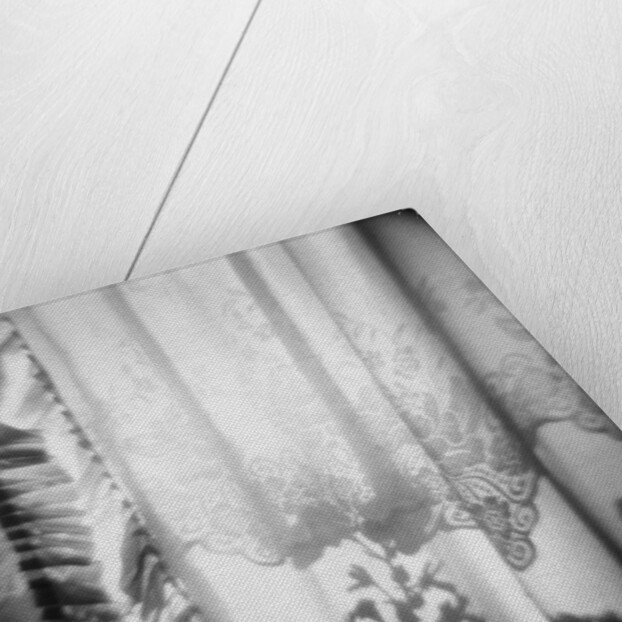 Curtain with Flower Shadow Annette Fournet by Anonymous