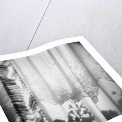 Curtain with Flower Shadow Annette Fournet by Anonymous