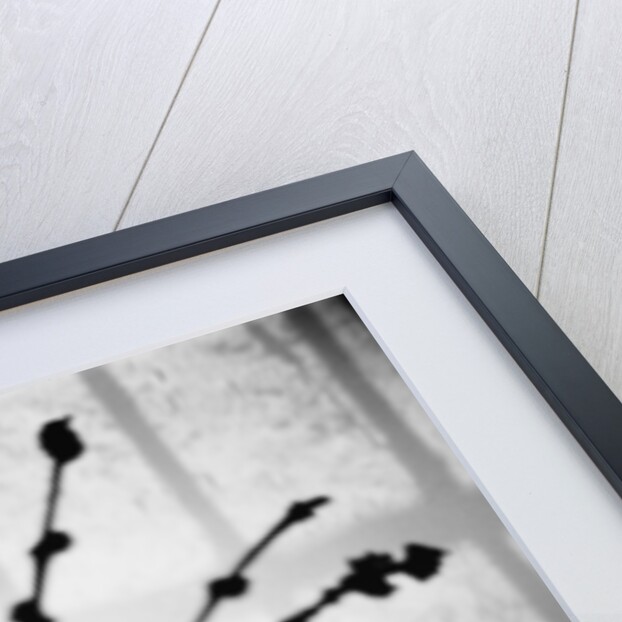 Japanese Shadow by Annette Fournet