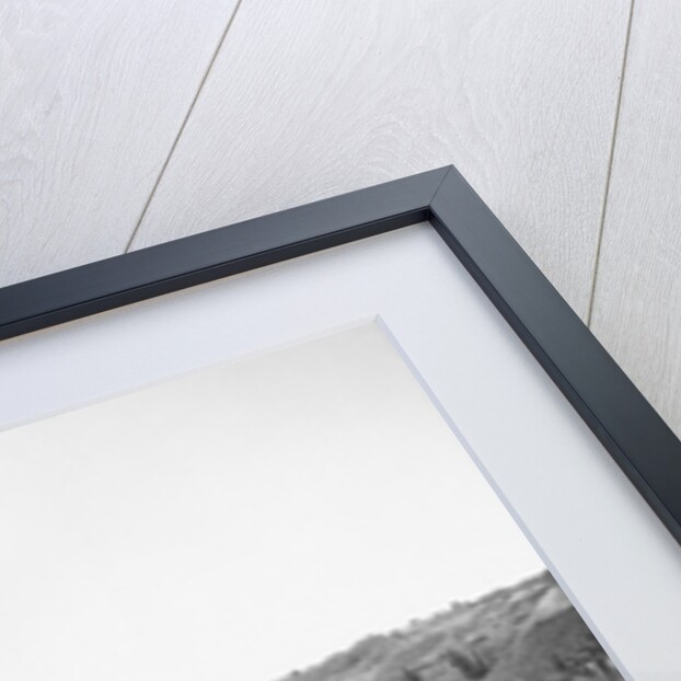 Nevadaville City Hall by Anonymous